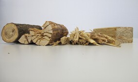 Scrimber - neue Produkte für den Holzbau